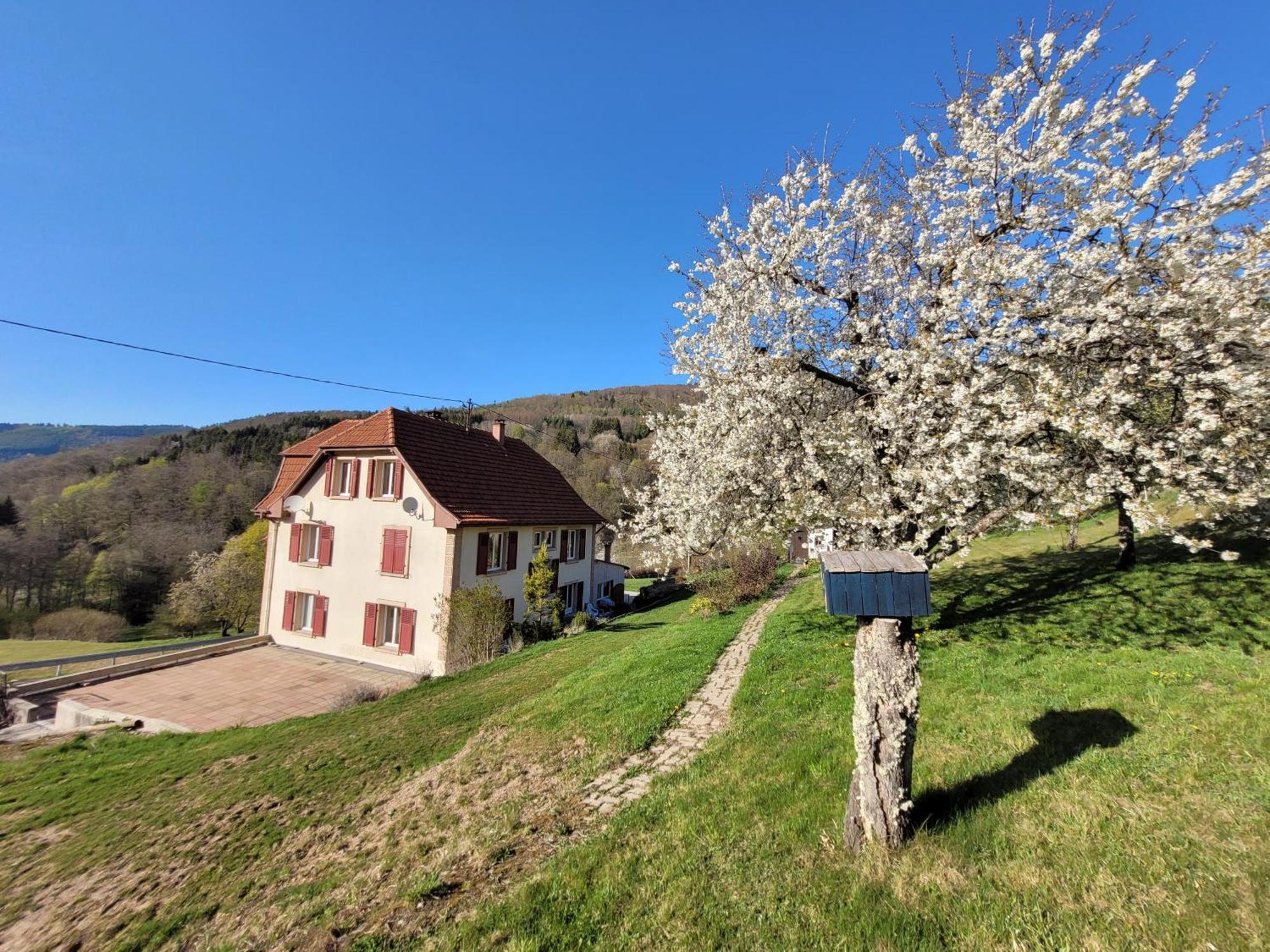 Domaine De La Charriere Sur 63 Ares - 8 Pers Grand Confort Villa Neuviller Luaran gambar